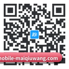 安卓 APP 二维码
